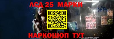 стафф Коммунар