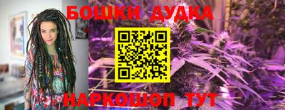 шишки Конаково
