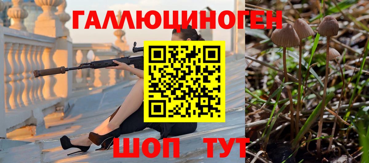 Псилоцибиновые грибы Magic Shrooms Щёлково