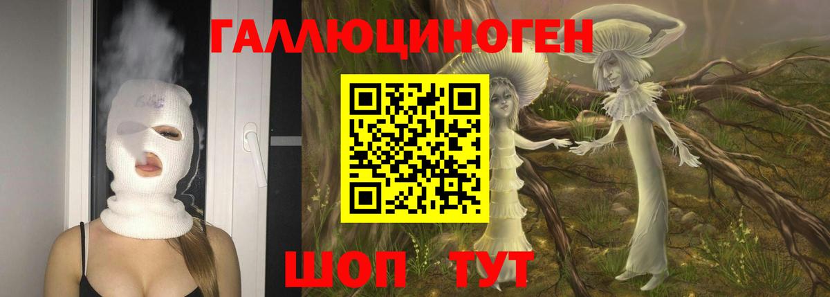 Псилоцибиновые грибы мицелий  где купить наркоту  Вход с VPN  Щёлково  Псилоцибиновые грибы мухоморы 